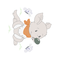 Domestic Rabbit Animals