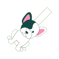 Domestic Rabbit Animals