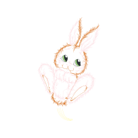 Domestic Rabbit Animals Domestic Rabbit Animals