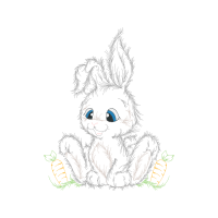 Domestic Rabbit Animals