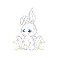 Domestic Rabbit Animals