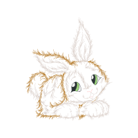 Domestic Rabbit Animals