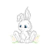 Domestic Rabbit Animals