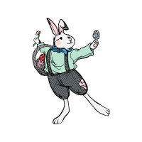 Domestic Rabbit Animals