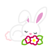 Domestic Rabbit Animals