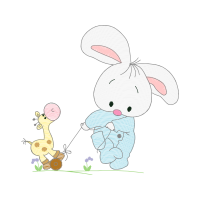 Domestic Rabbit Animals