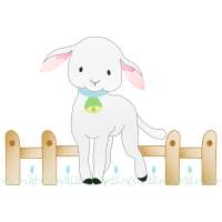 Domestic Rabbit Animals