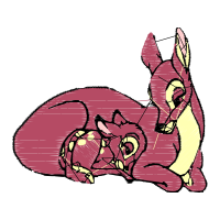 Domestic Rabbit Animals