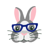 Domestic Rabbit Animals