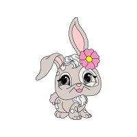 Domestic Rabbit Animals Domestic Rabbit Animals