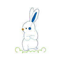 Domestic Rabbit Animals