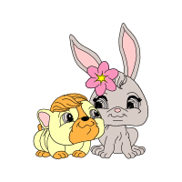 Domestic Rabbit Animals Domestic Rabbit Animals