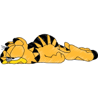 Dorgi Animals Dorgi Animals