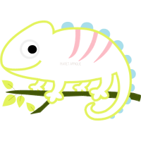 Drawing Animals