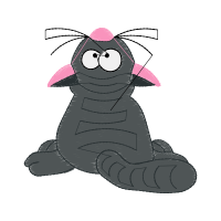 Drawing Animals