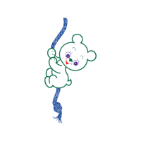 Drawing Animals Drawing Animals