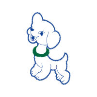 Drawing Animals