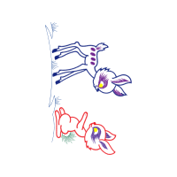 Drawing Animals Drawing Animals