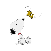 Drawing Animals Drawing Animals