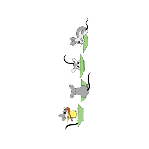 Drawing Animals Drawing Animals