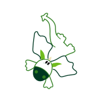 Drawing Animals Drawing Animals