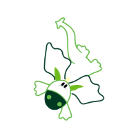 Drawing Animals Drawing Animals