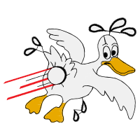 Drawing Animals Drawing Animals