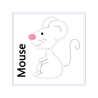 Drawing Animals