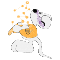 Drawing Animals Drawing Animals