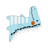 Drawing Animals