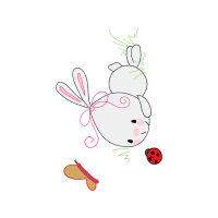 Drawing Animals Drawing Animals