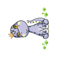 Drawing Animals Drawing Animals