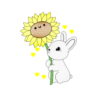 Drawing Animals