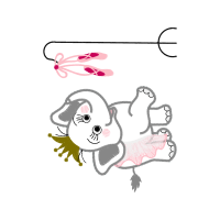Drawing Animals