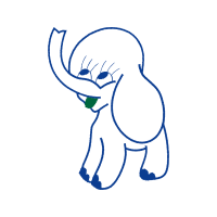 Drawing Animals