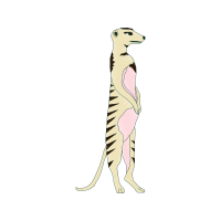 Drawing Animals Drawing Animals