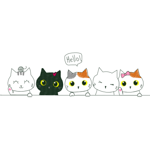 Drawing Animals Drawing Animals