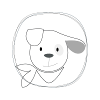 Drawing Animals Drawing Animals