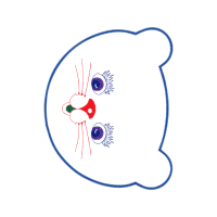 Drawing Animals Drawing Animals