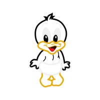 Drawing Animals Drawing Animals