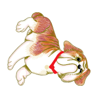 Drawing Animals