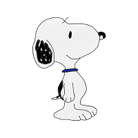 Drawing Animals