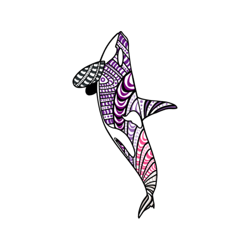 Drawing Animals Drawing Animals