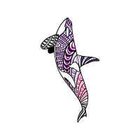 Drawing Animals Drawing Animals