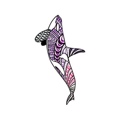 Drawing Animals Drawing Animals