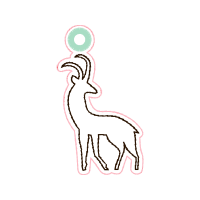 Drawing Animals