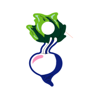 Drawing Animals