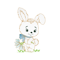 Drawing Animals Drawing Animals