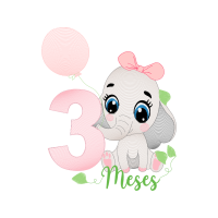 Drawing Animals Drawing Animals