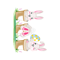 Drawing Animals